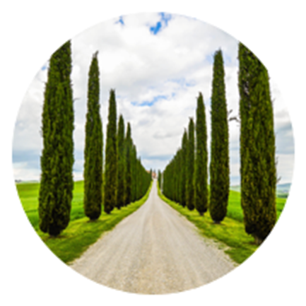Cypress - Dirt Road (1040x432), Png Download