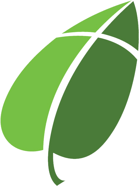 Leaf Two Color, Square - Illustration (750x750), Png Download