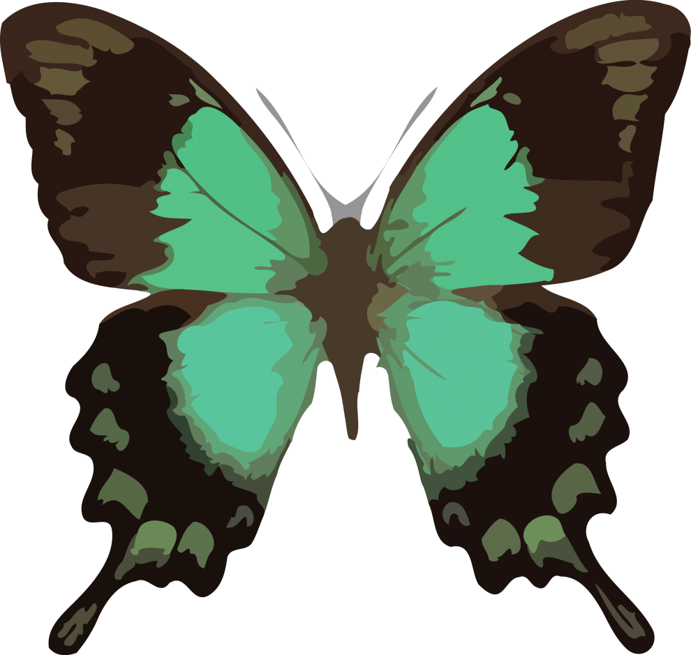 Butterfly Png Clipart Download Png - Barclay James Harvest Through The Eyes Of John Lees (990x939), Png Download