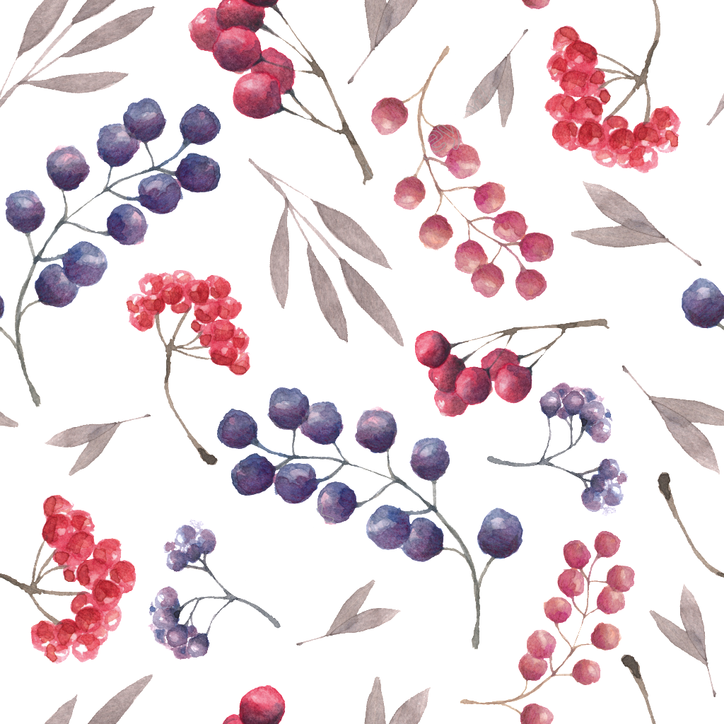 Berry Vector Cherry Fruit - Currant (1024x1024), Png Download