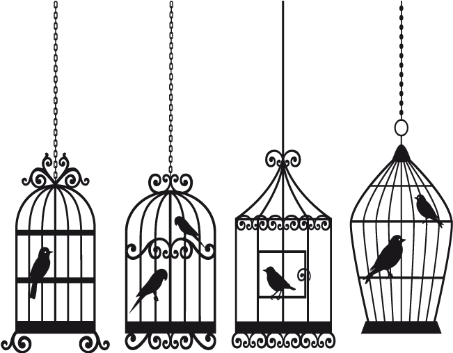 × - Bird Cage Vector (650x650), Png Download