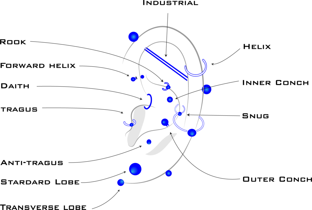 Types Of Piercings - Termoidraulica (1024x689), Png Download