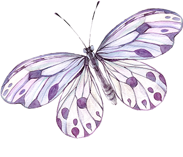 Butterfly, Tattoo, Poetry, Lilac Png Image With Transparent - Purple Butterfly Tattoo (606x652), Png Download
