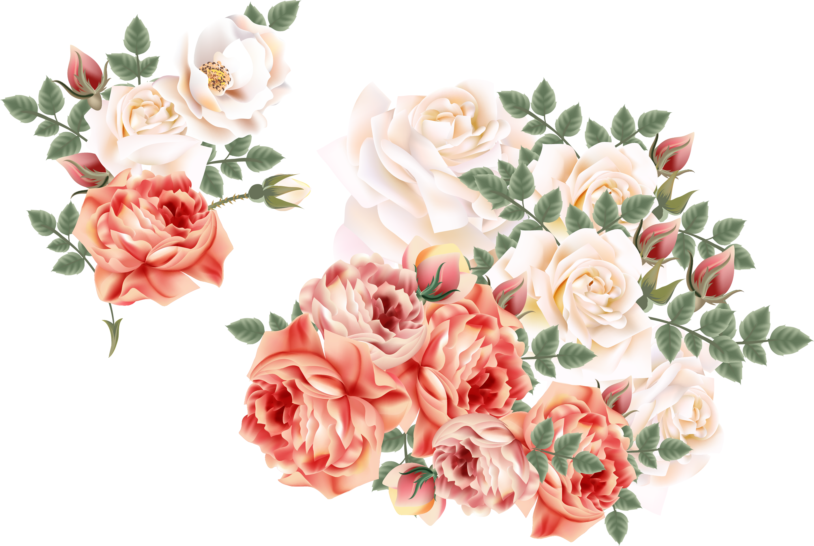 Garden Vector Flower - Floribunda (2821x1891), Png Download