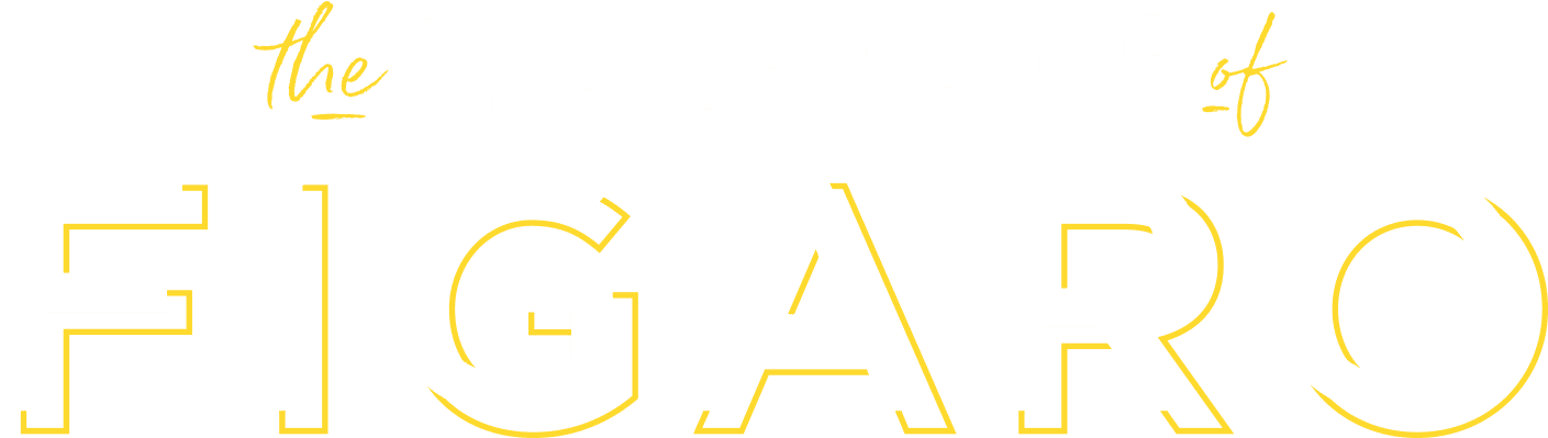 Artwork For The Marriage Of Figaro - Sura (1500x536), Png Download