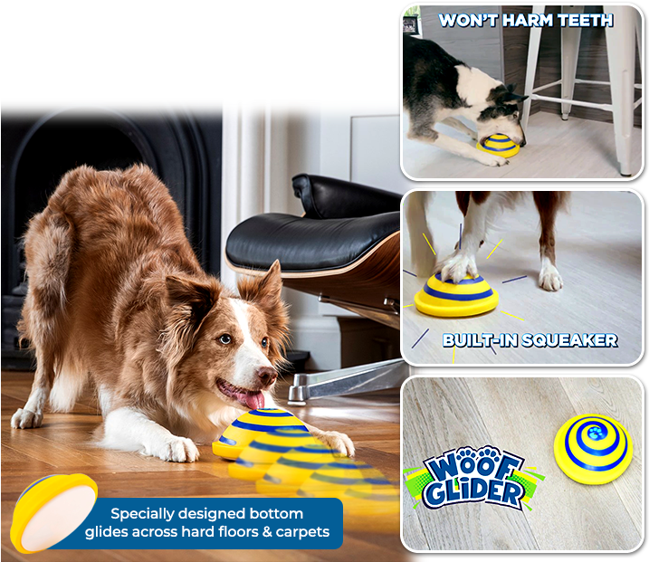 Dog Catches Something (734x628), Png Download