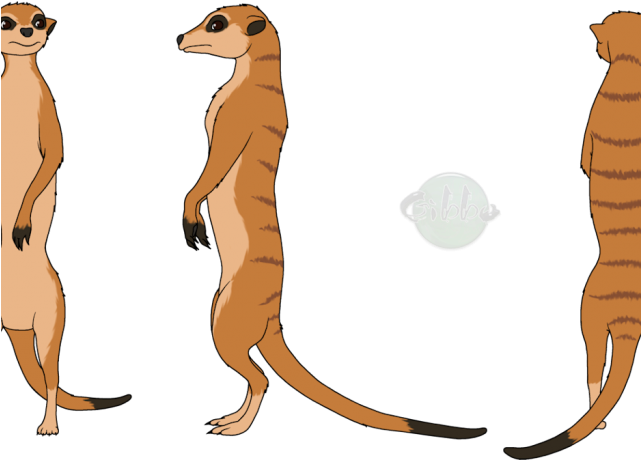 Meerkat Clipart Draw - Meerkat (640x480), Png Download