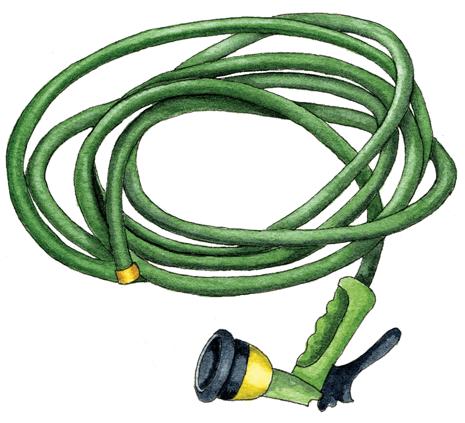 Illustration By Helen Krayenhoff - Wire (916x832), Png Download