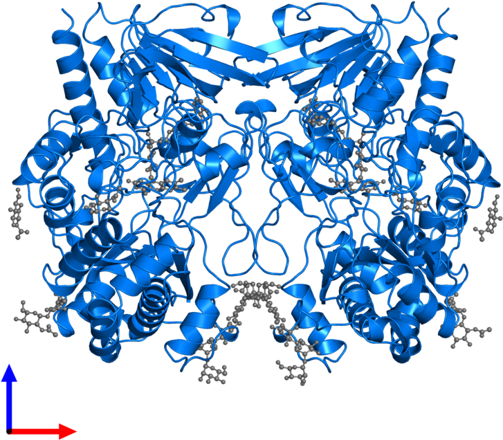 <div Class='caption-body'>pdb Entry 1gpe Contains 2 - Glucose Oxidase Png (800x800), Png Download
