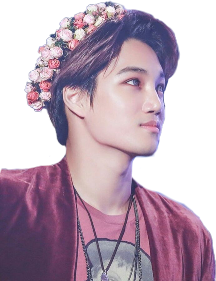 Kai Exo Kpop Korea Sticker ɢнαɒєєя Png Korean Phone - Aesthetic Exo (692x899), Png Download