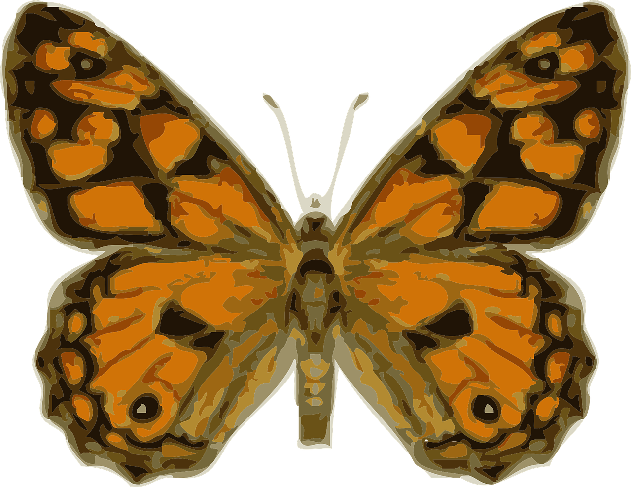 Butterfly Insect Monarch Wings Png Image - Imagenes De Insectos Con Alas (1280x988), Png Download