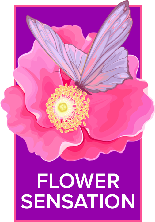 Chula Vista, Ca Florist - Art Library Mac It Designer (530x758), Png Download