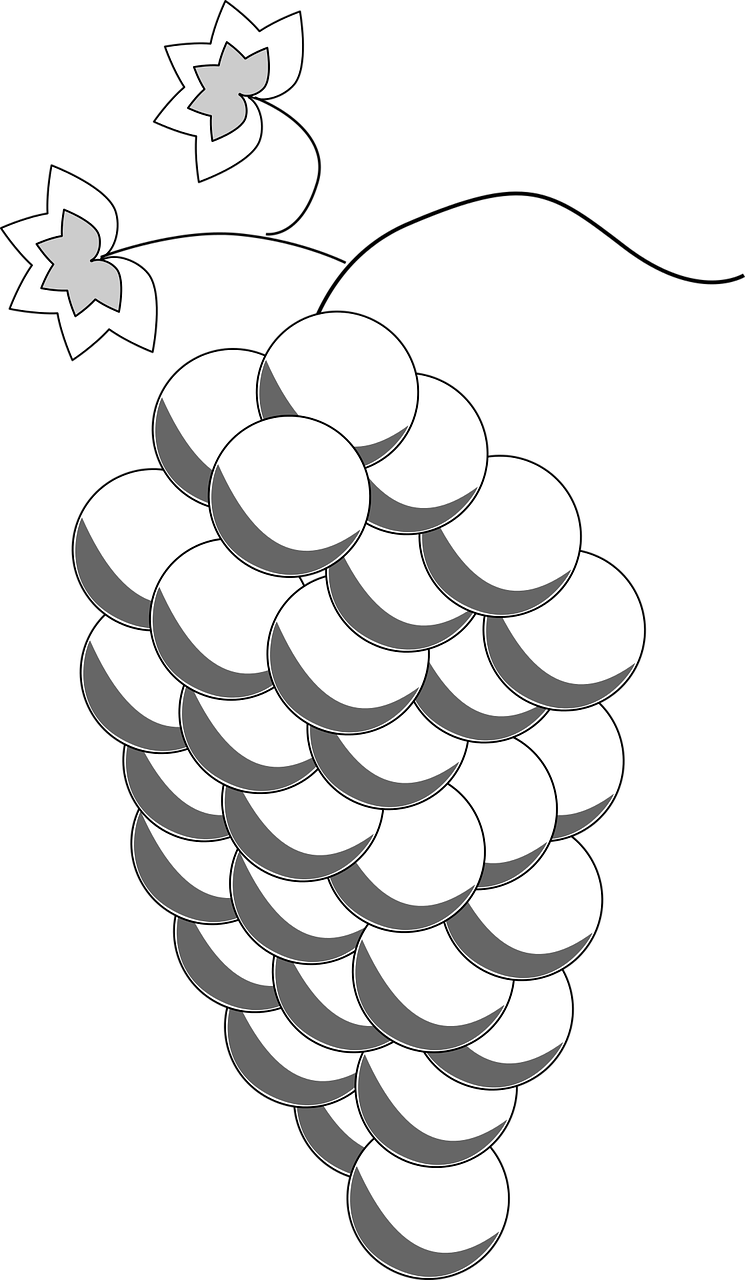 Clips Eat Edible Food Fruit Png Image - วาด ผล ไม้ องุ่น (745x1280), Png Download