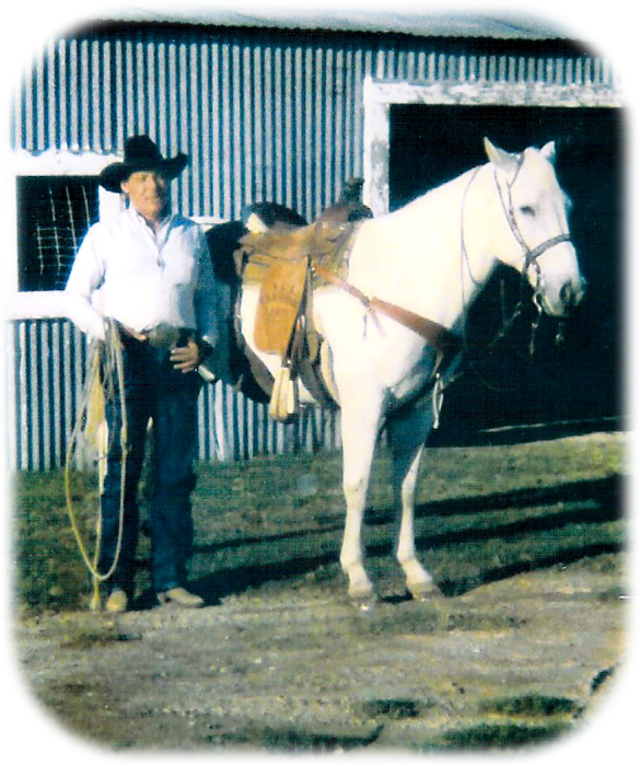 Obituary For Jimmie Forrest Qualls - Stallion (585x700), Png Download