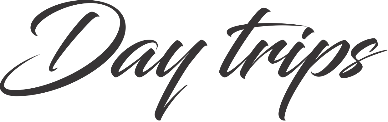 Wine Tasting In Brda - Calligraphy (1240x391), Png Download