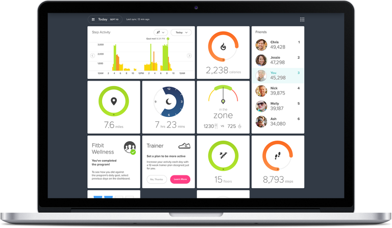 Dashboard-768x447 - Fitbit Plus (768x447), Png Download