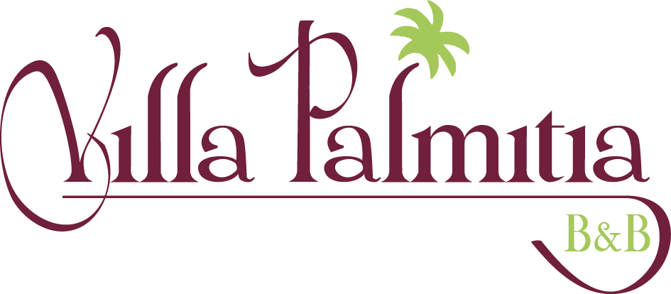 Cropped 00 Logo Villa Palmitia - Bhangra (945x414), Png Download