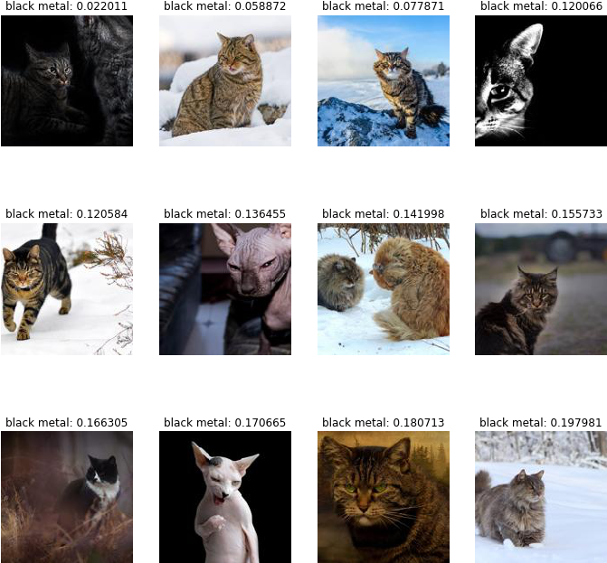 Finally, There's Only One Thing More Important Than - Domestic Short-haired Cat (720x653), Png Download