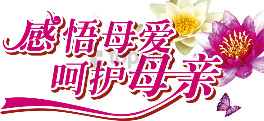 Free Png Mothers Day Typography- 母亲 节 Png Image With - 母亲 节 (850x390), Png Download