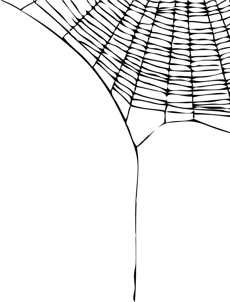 Spider Web Border Png (1024x1024), Png Download