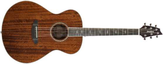 Breedlove Sgcn01emama2 Image - Guitar (640x640), Png Download