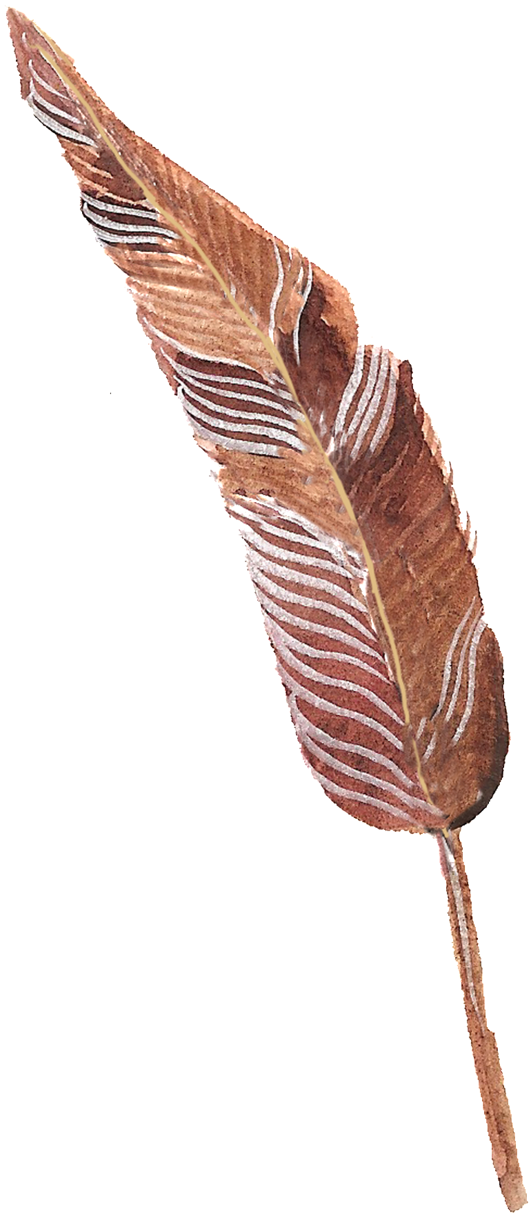 Zongbai Feather Transparent Decorative - Portable Network Graphics (1024x1837), Png Download