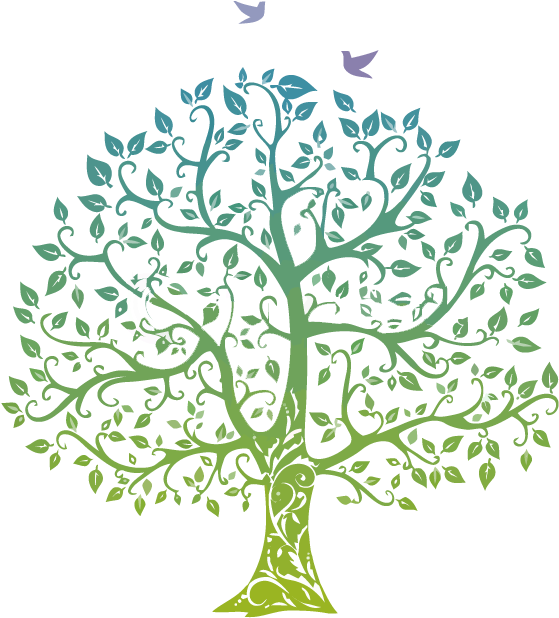 Tree-vector - Tree With Branches And Leaves (620x688), Png Download