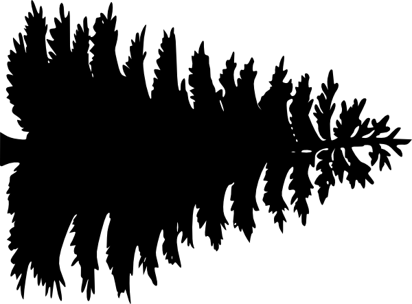 Rustic Clipart Pine Tree - Camp Winnipesaukee (600x443), Png Download