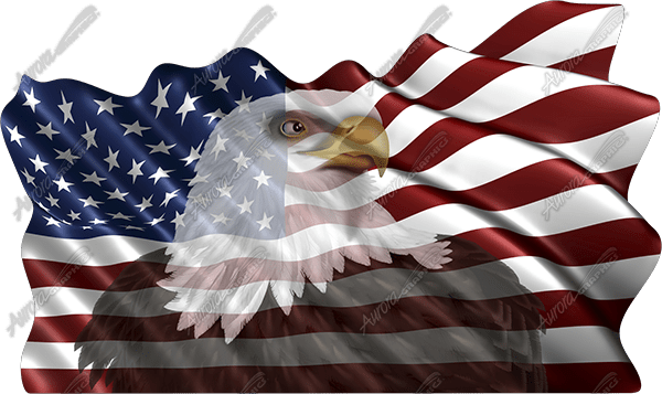 Waving American Flag Eagle Head - American Flag With Bald Eagle Waving (600x357), Png Download