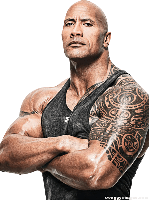 Wwe The Rock 2011 (496x665), Png Download