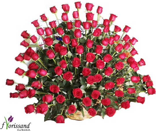 Add To Cart - Karafiáty Kytice (600x500), Png Download