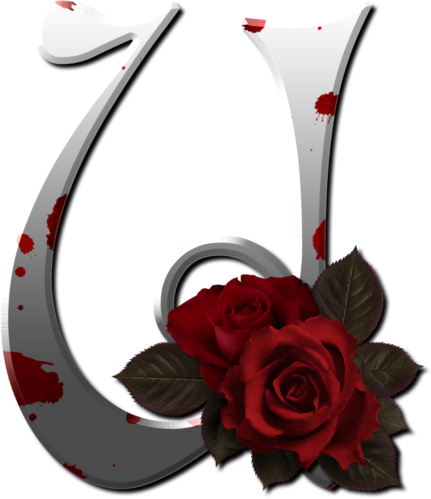 Marcos Gratis Para Fotos - Letter (1600x1600), Png Download