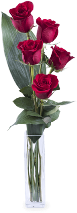 Amor E Elegancia - Ramo De 5 Rosas (480x480), Png Download
