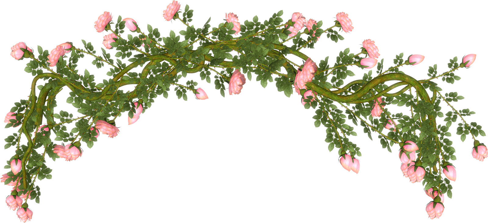 Rosas Rojas Png (1600x731), Png Download
