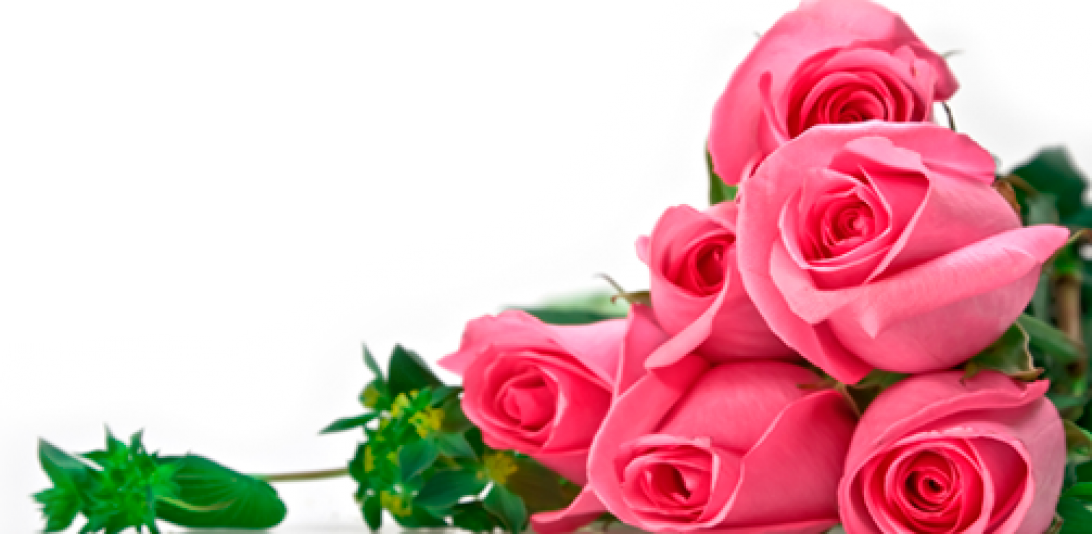 Rosas Rosas - Set Of 3 Pearl Bracelets (1092x534), Png Download