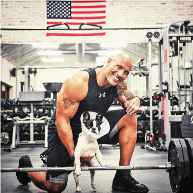 Dwayne Johnsons Pic In Gym (570x392), Png Download