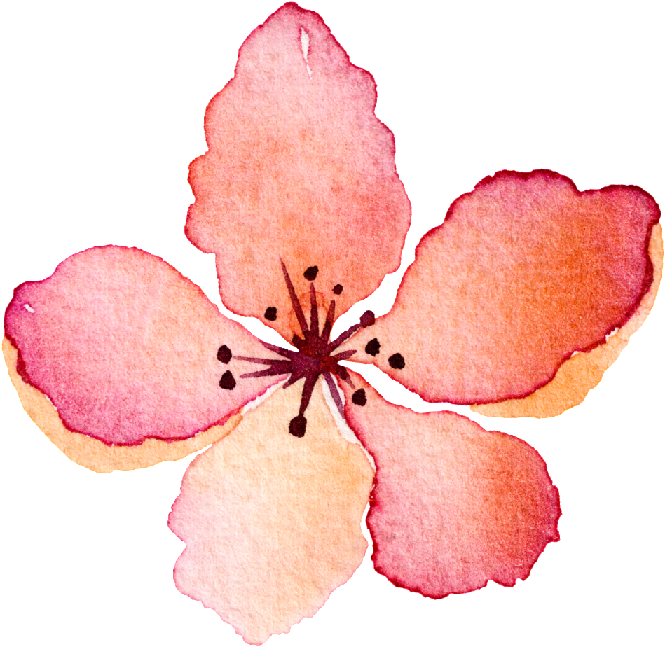 Flores Rojas Pintadas A Mano (1024x1024), Png Download