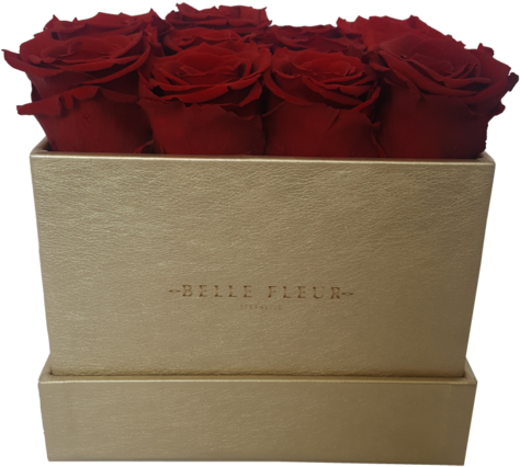 El Contexto Es Todo - Box (480x441), Png Download