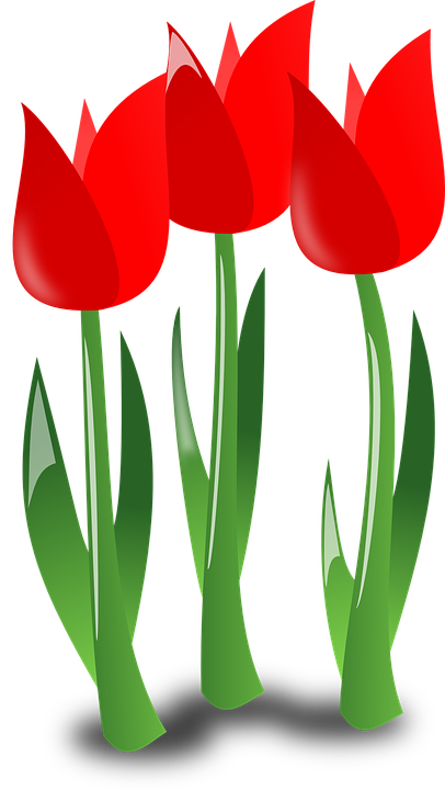 *ver Y Descargar 30 Flores Y Rosas Rojas Gratis Para - Mothers Day Flowers Clipart (406x720), Png Download