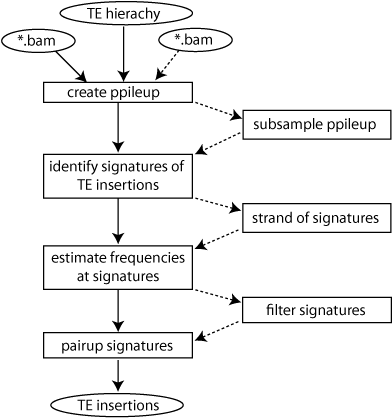 Popte2 Flow - Diagram (400x437), Png Download