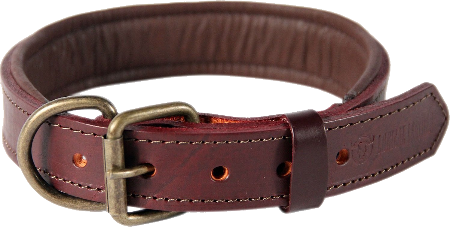 Dog Collar Png - Dog Collar (1497x756), Png Download