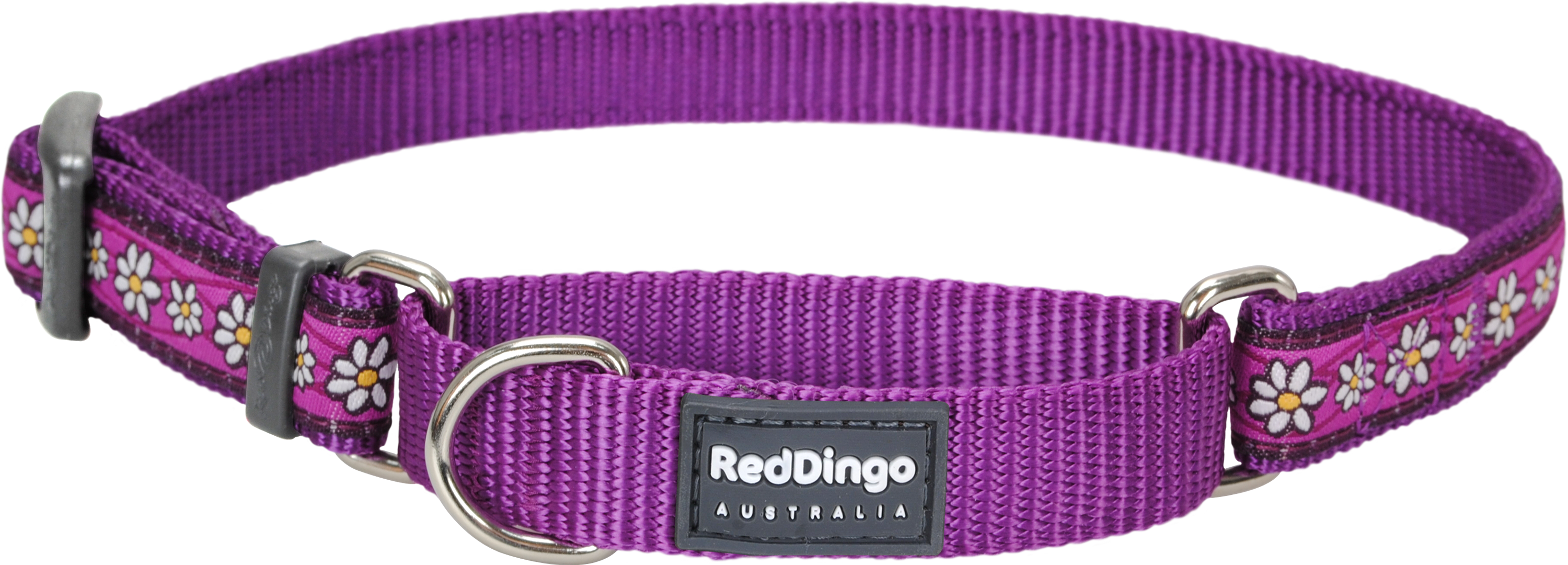 Dog Collar Png - Red Dingo Daisy Chain Purple Large Martingale Collar (3000x1080), Png Download