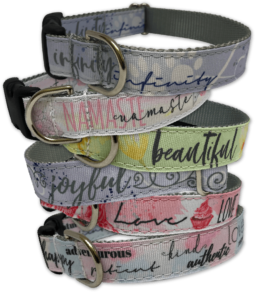 Download Shop Collars & Leashes Belt Full Size PNG Image PNGkit