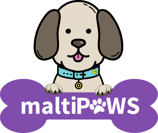 Maltipaws - Dog (600x508), Png Download