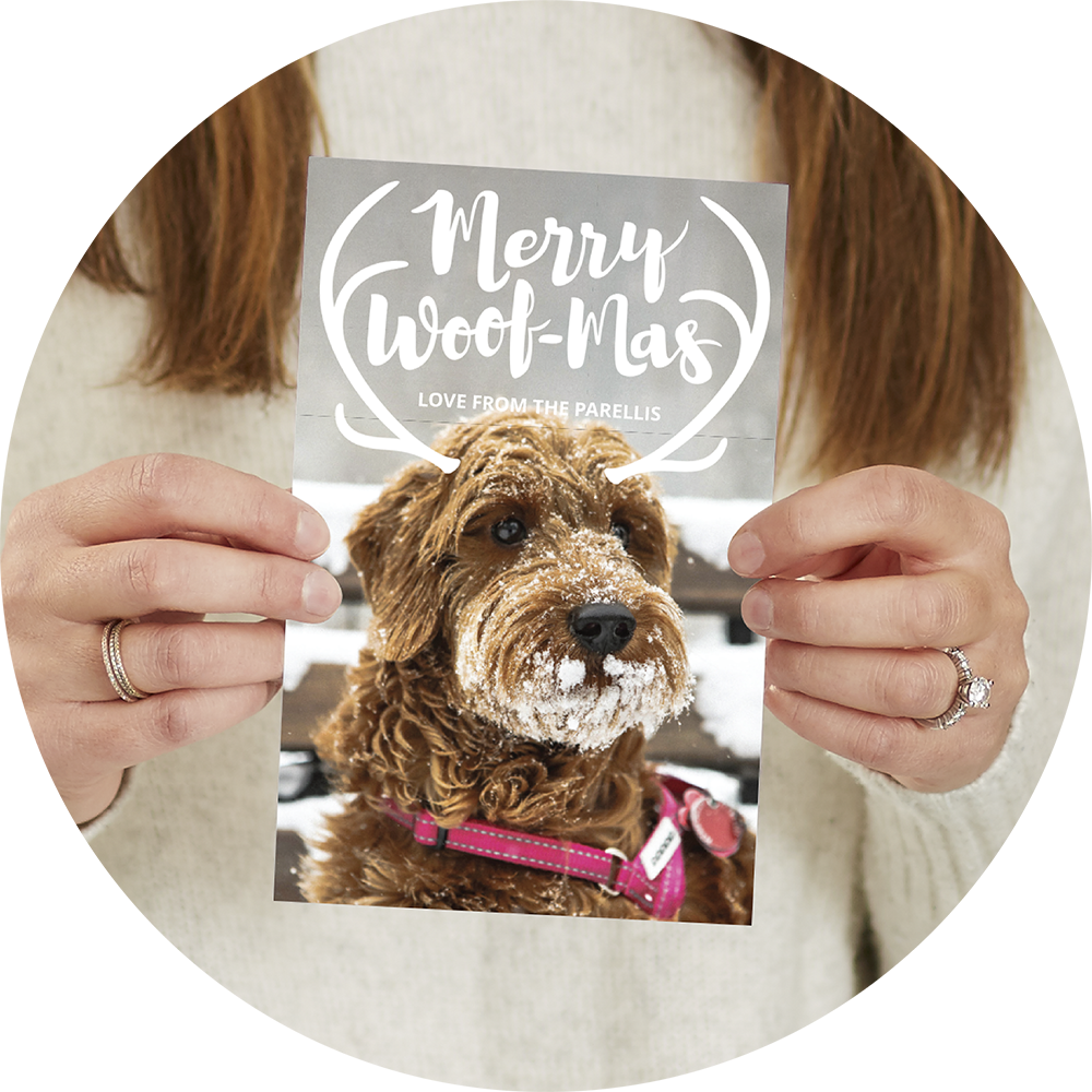 There Were So Many Amazing Designs To Pick From, But - Labradoodle (1000x1000), Png Download
