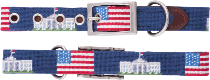More Views - Belt (700x700), Png Download