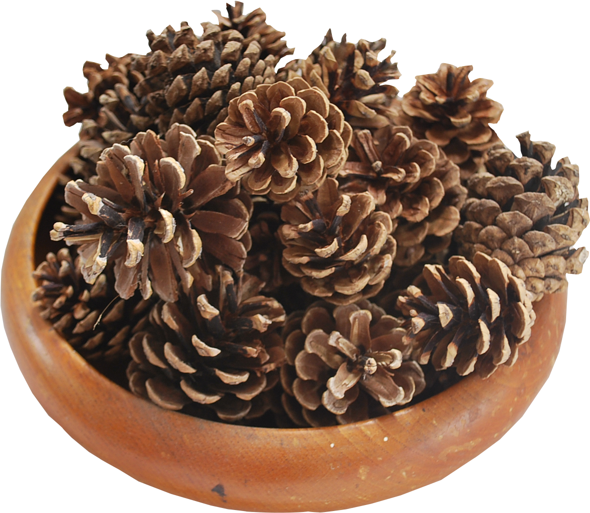 Pine Cones - Wood (1936x1296), Png Download