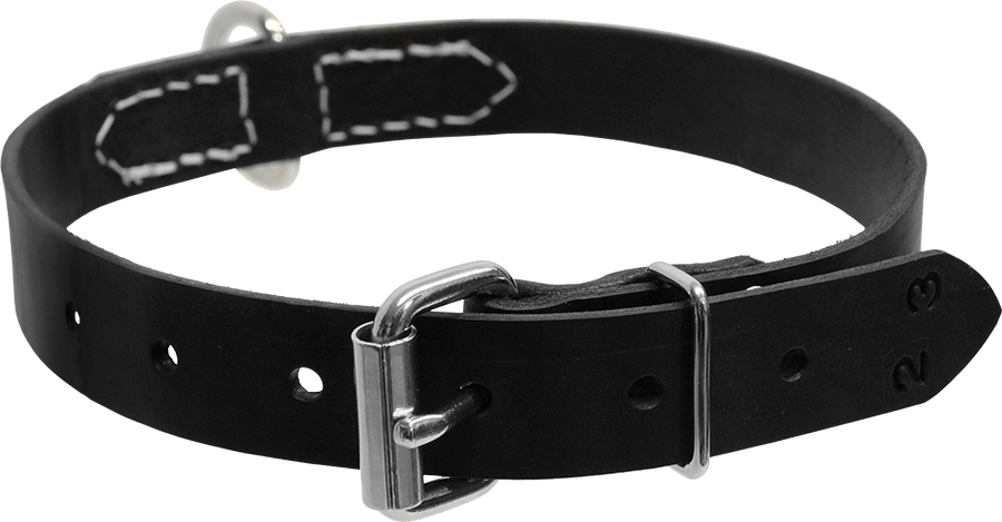 Center D Ring Collar - Activedogs.com Single Layer Center D-ring Leather Dog (900x469), Png Download