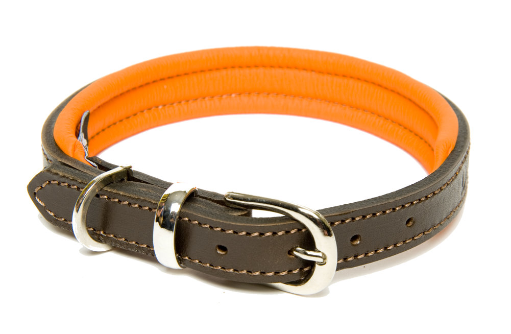 Download Dogs & Horses Colours Luxury Leather Dog Collar Orange