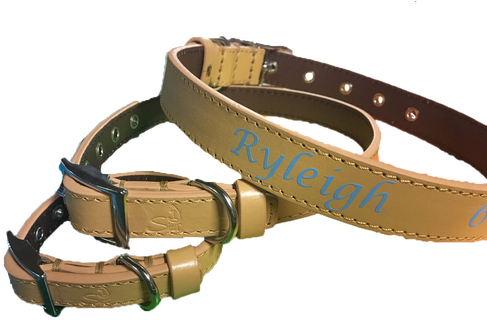 The Name On The Collar Will Be In All Caps - Belt (498x373), Png Download